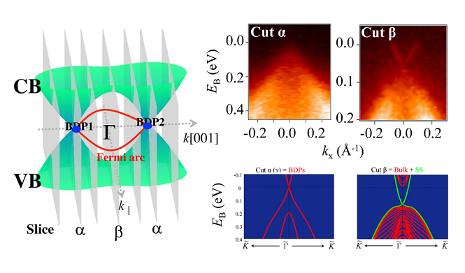 Experimental discovery of Fermi arc surface electronic states in a topological semimetal