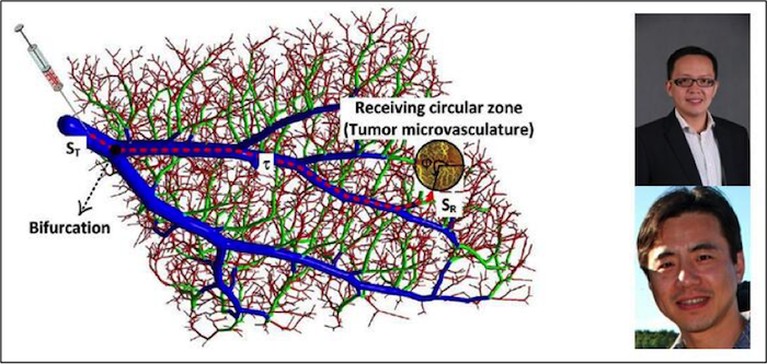 SUSTC Professor Yifan Chen and Professor Limin Huang Published A Front Cover Article in IEEE Transactions on NanoBioscience