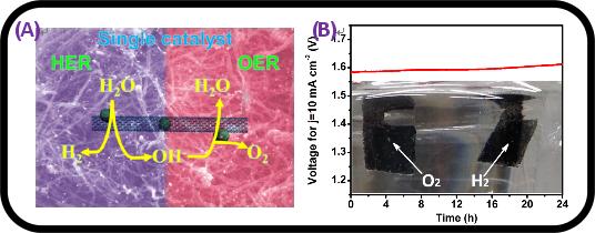 Yongye Liang’s research group developed advanced water splitting electrocatalysts