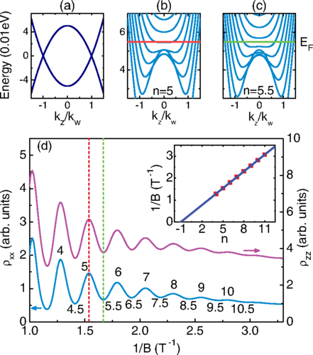 Latest Research Findings of the Team Led by Lu Haizhou Published on Physical Review Letters