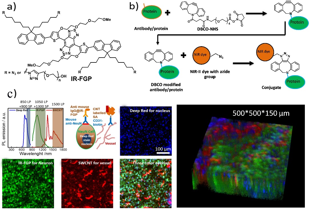 Rational design of molecular fluorophores for bioimaging in NIR-II window