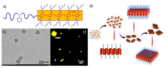 SUSTech Professor He Feng Publishes Paper in Nature Communications