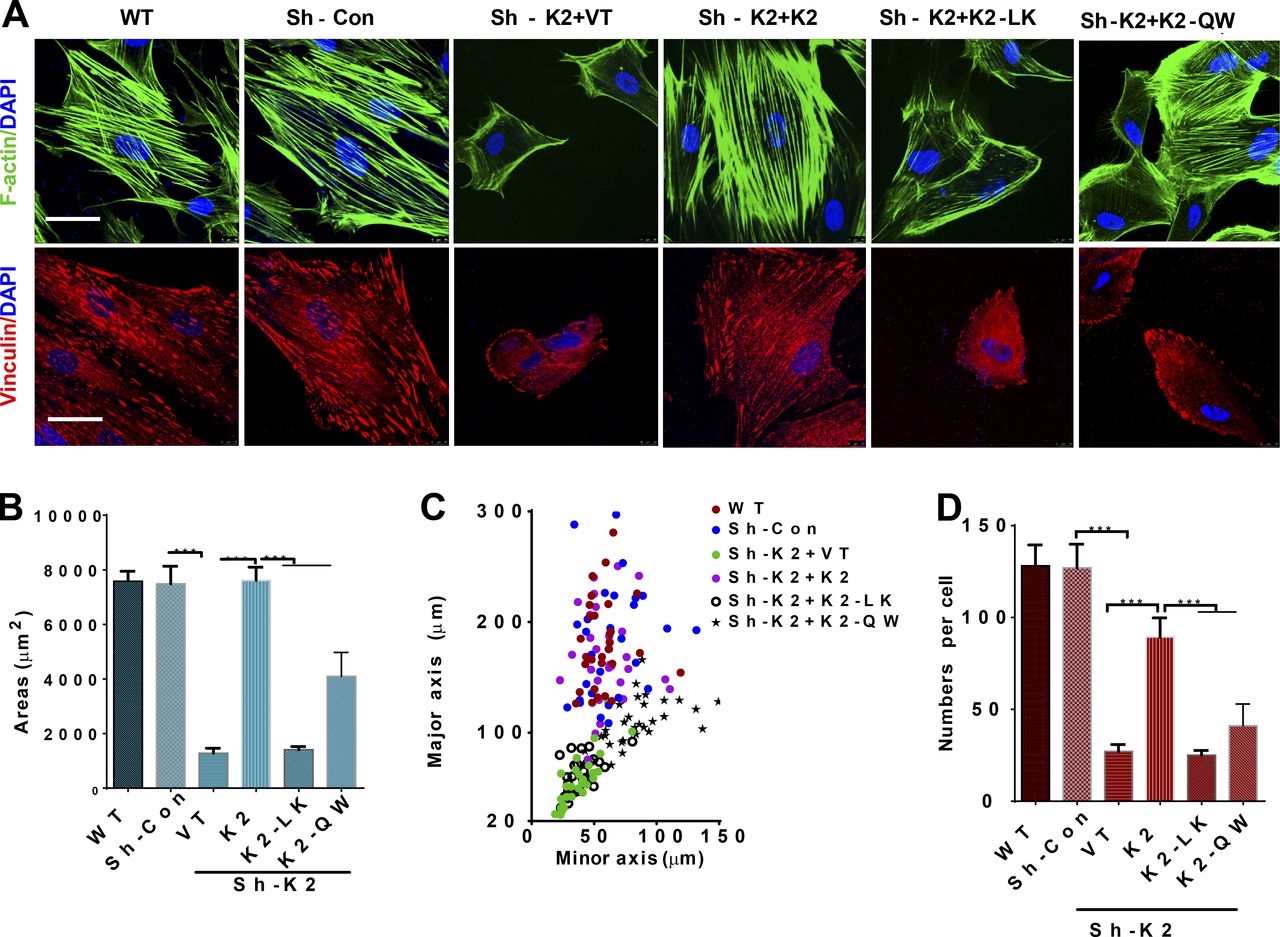 The Journal of Cell Biology Publishes Research Article by Chuanyue Wu team