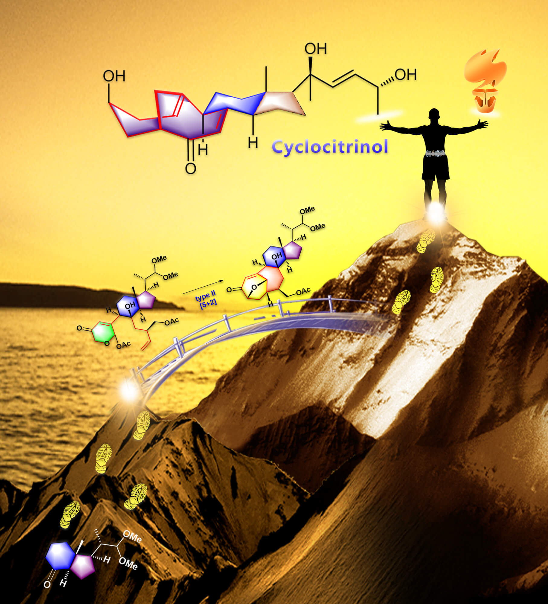 Li Chuang-Chuang’s Group Completes First Total Synthesis of Cyclocitrinol