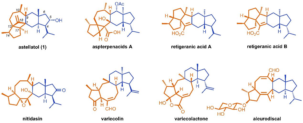 Xu Jing Published Paper on Synthetics Considered a VIP