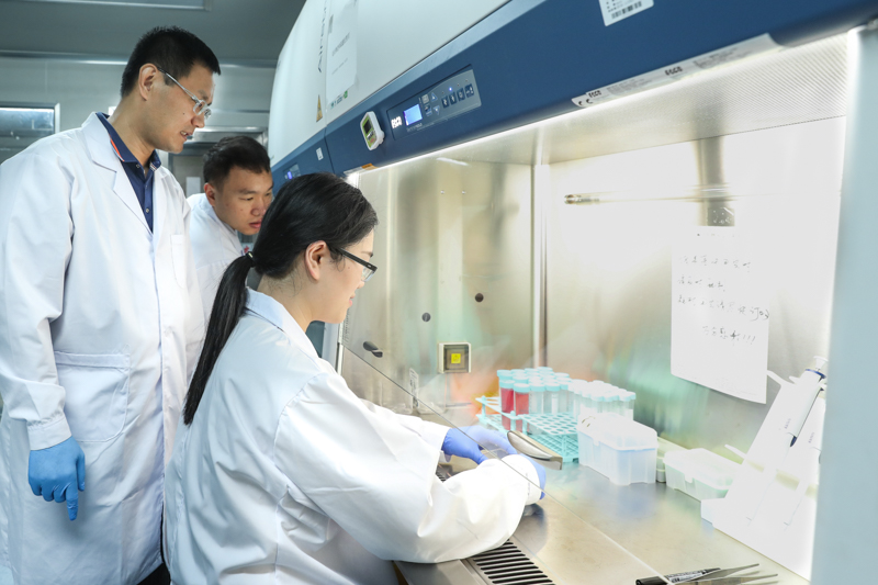 SUSTech Professor Wu Changfeng Co-Published Paper on Diabetes Treatment in ACS Nano