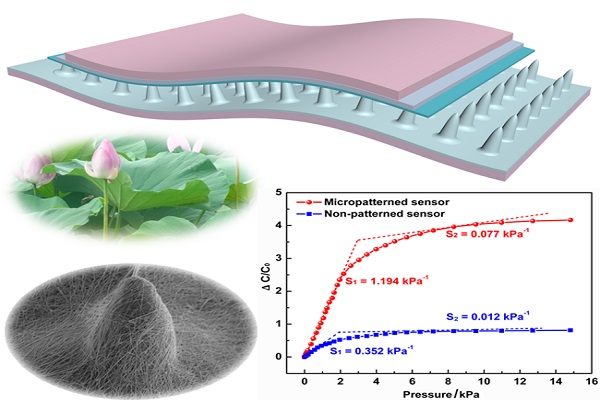 Professor Chuanfei Guo’s Team Published a Series of Studies on Bionic Electronic Skins in Advanced Functional Materials, Small, and Advanced Electronic Materials