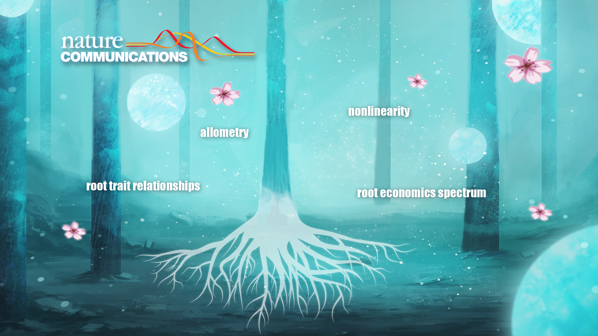 Understanding of root trait relationships improves