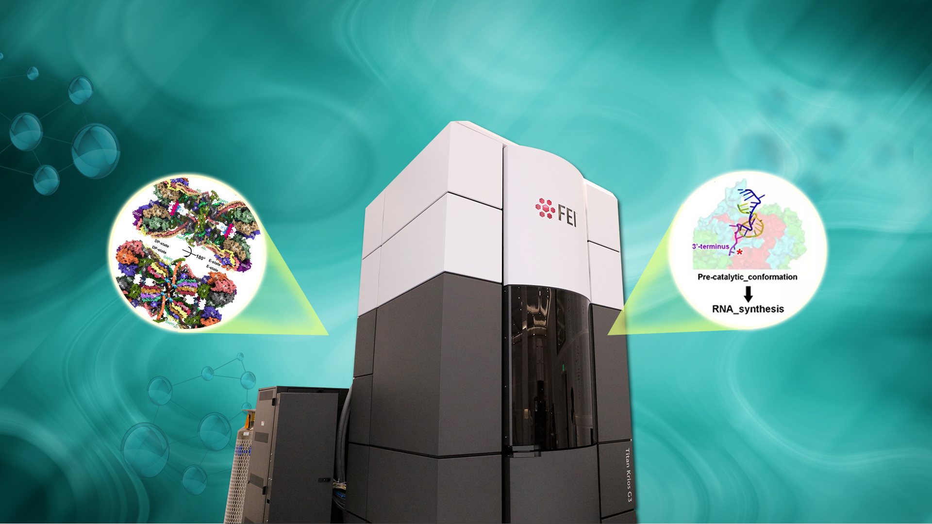 SUSTech Cryo-EM Center important for biological research papers