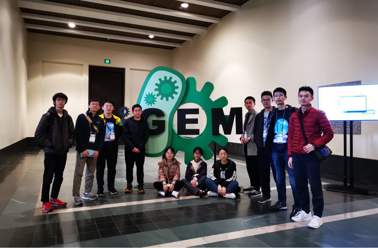 SUSTech students add to iGEM gold medal haul