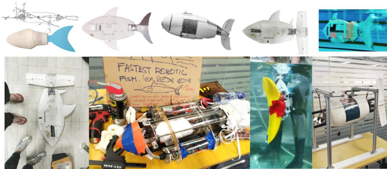 SUSTech sets bionic robotic fish speed world record