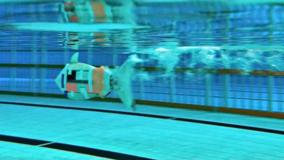 SUSTech sets bionic robotic fish speed world record