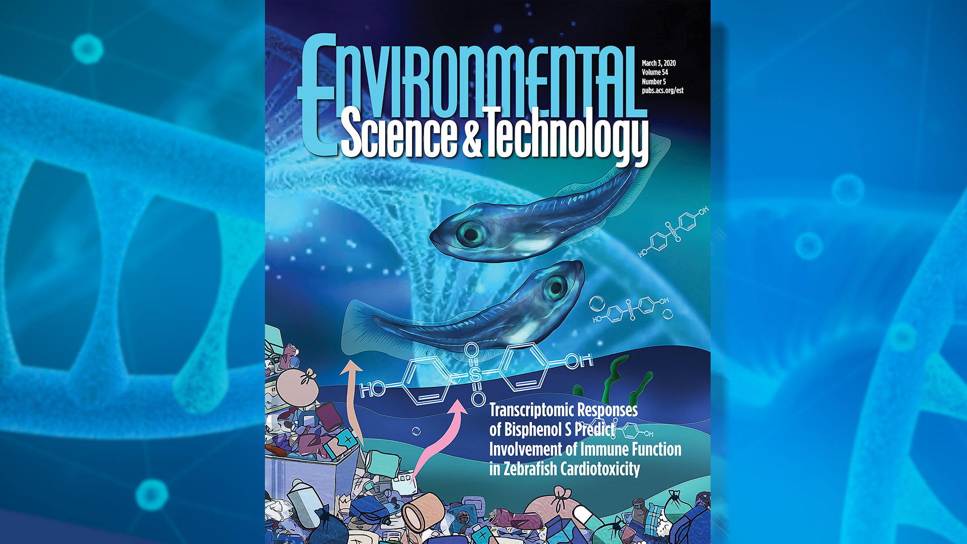 Ecotoxicology studies on fish provide insight into impact of pollutants on environmental health