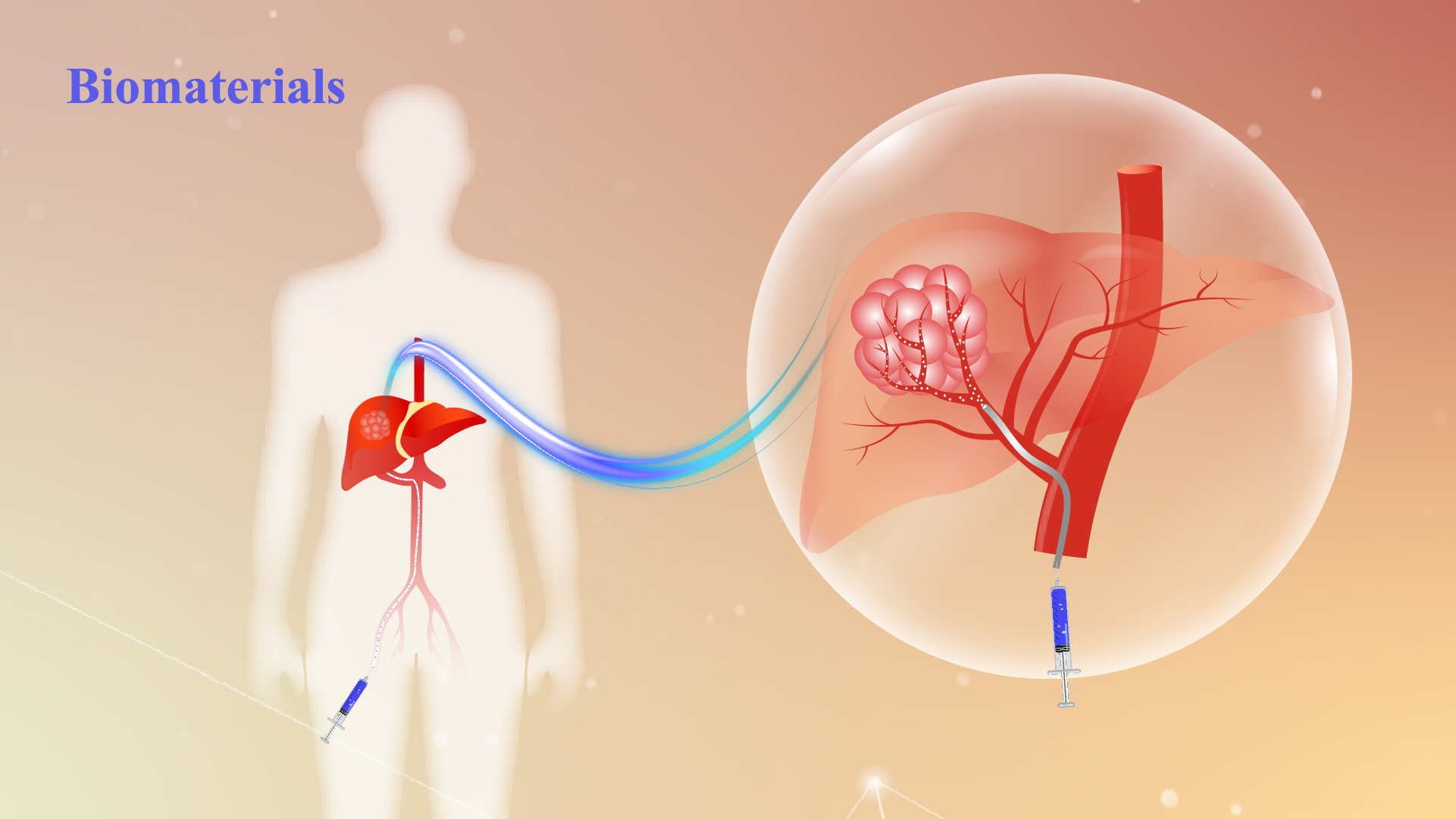 Transparent models of organs to deliver better health care