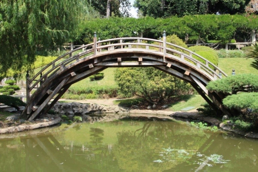 How did a woven arch drum bridge wind up in a Californian garden? A SUSTech researcher knows how!