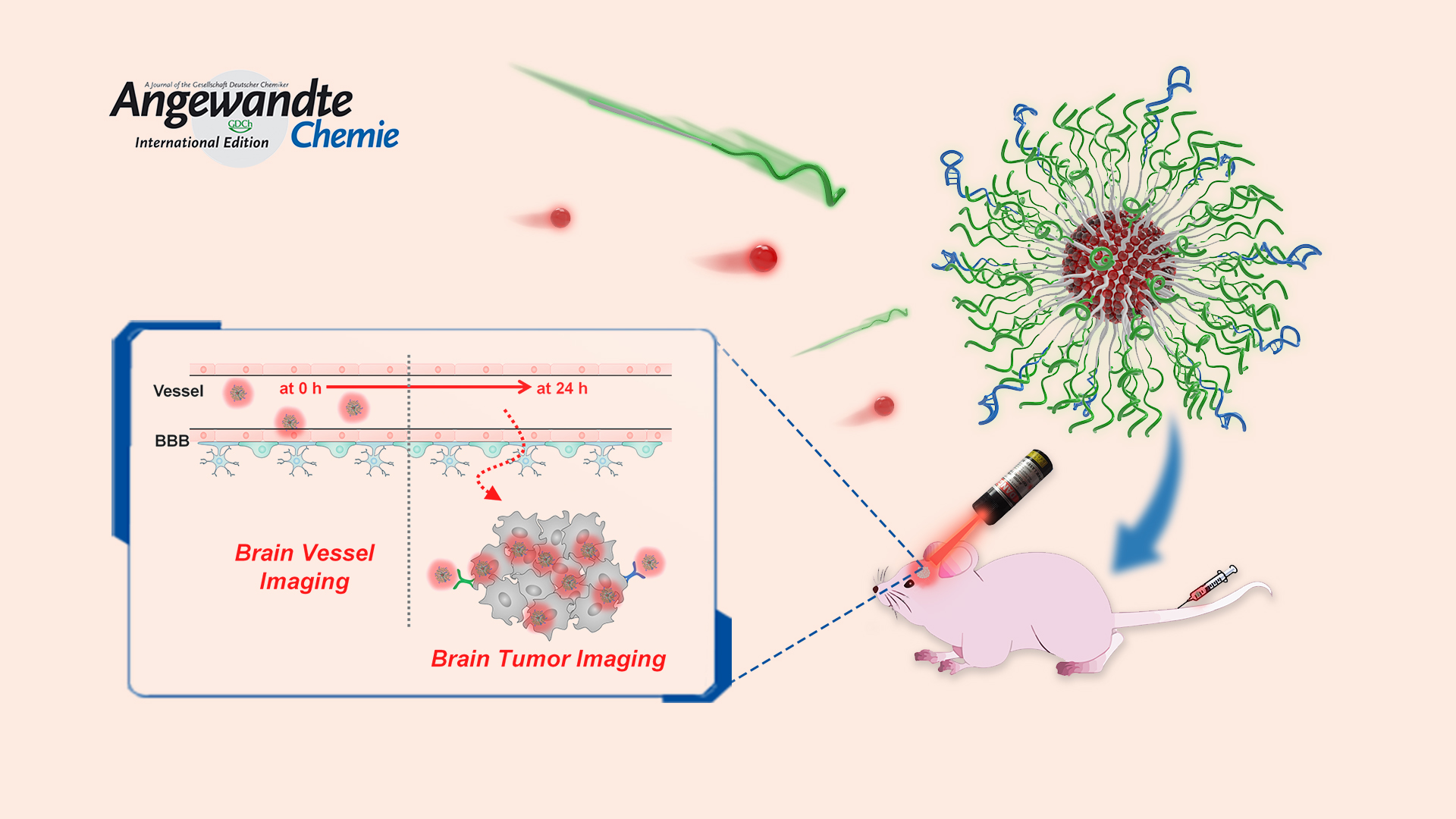 Nucleic acid materials become more practical in diagnosing and treating cancer