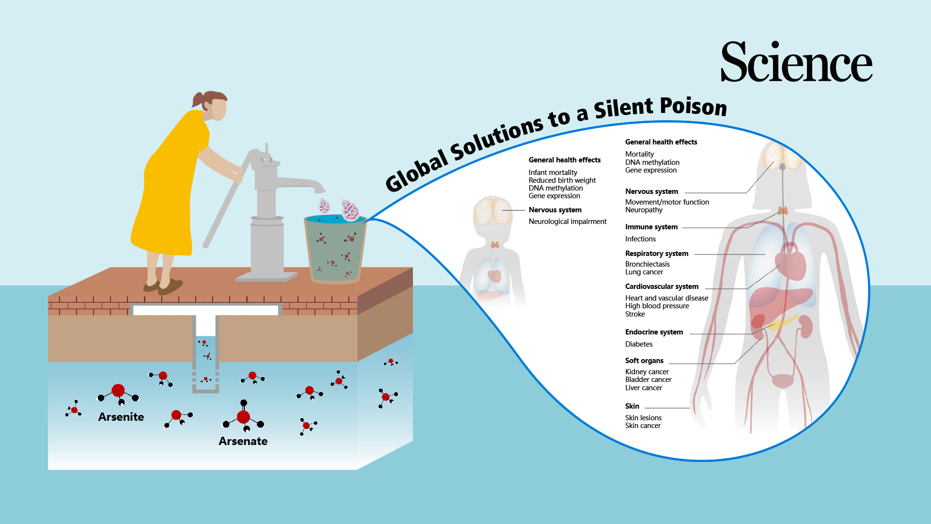 SUSTech environmental scientist offers perspective on ending arsenic exposure from well water