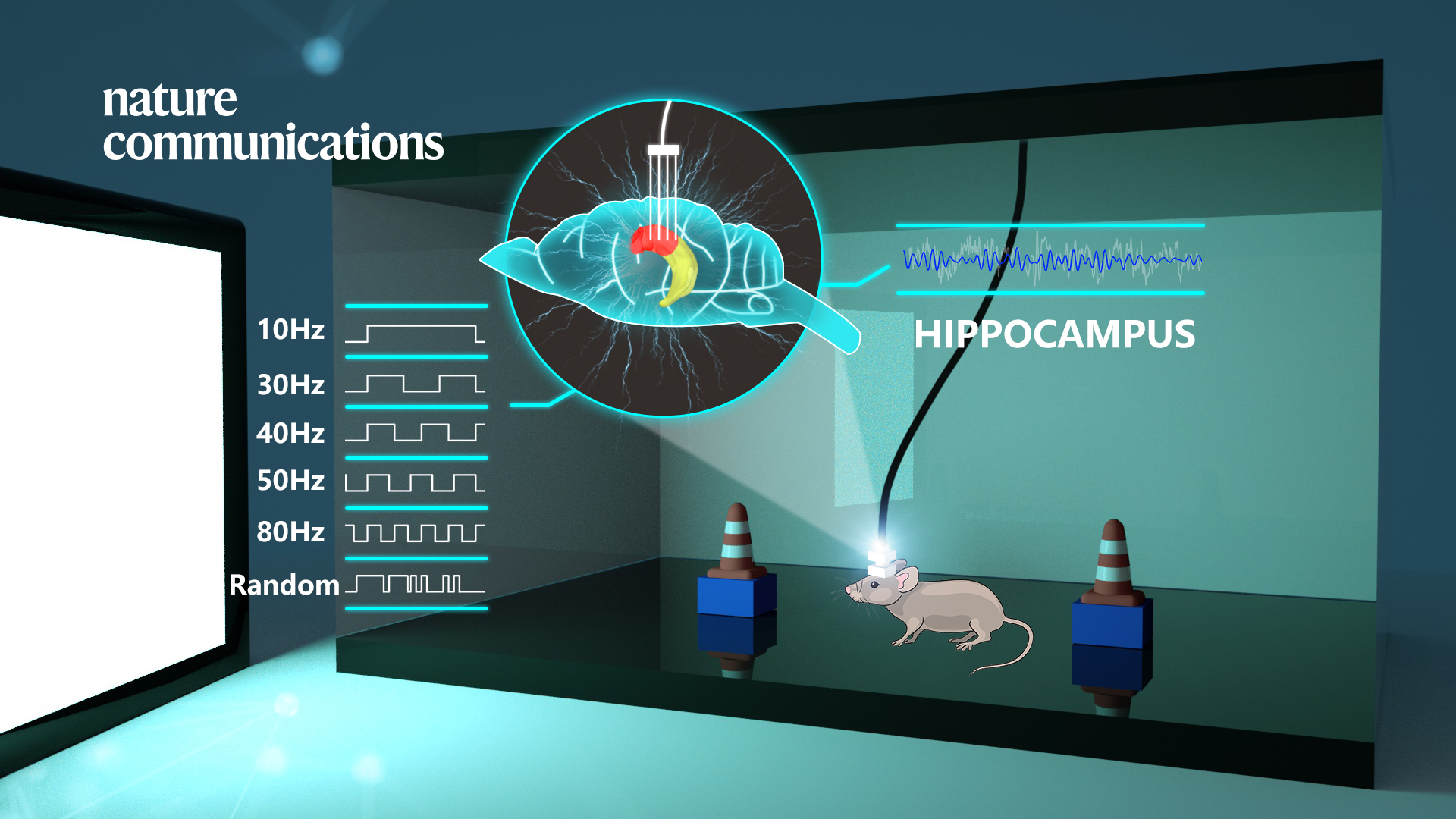 New ways potentially found to treat and protect brain ischemia