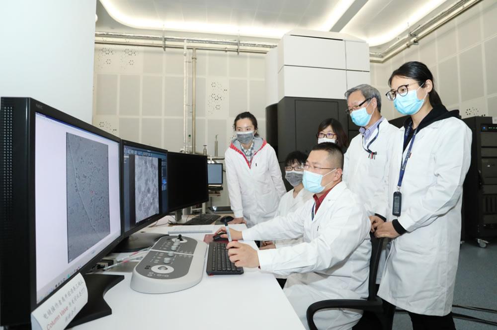 In March 2020, SUSTech and the Shenzhen National Infectious Diseases Clinical Medicine Research Center discovered the molecular structure of the novel coronavirus for the first time.