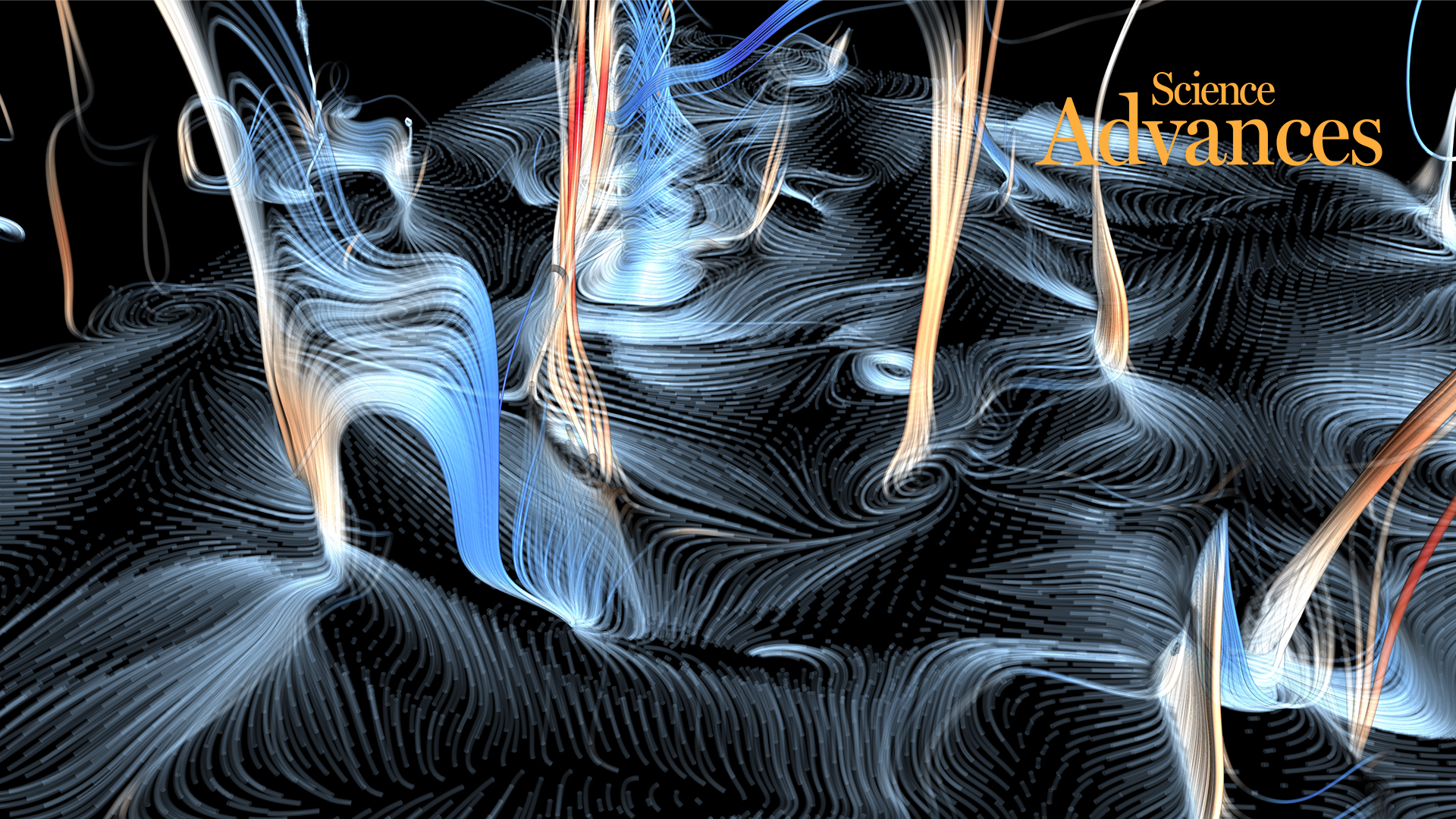 Pollen inspired rule behind motion of turbulent vortices