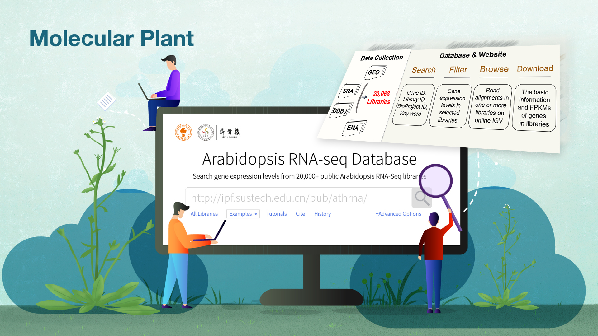 Comprehensive online database deployed for exploring massive public plant RNA-seq data