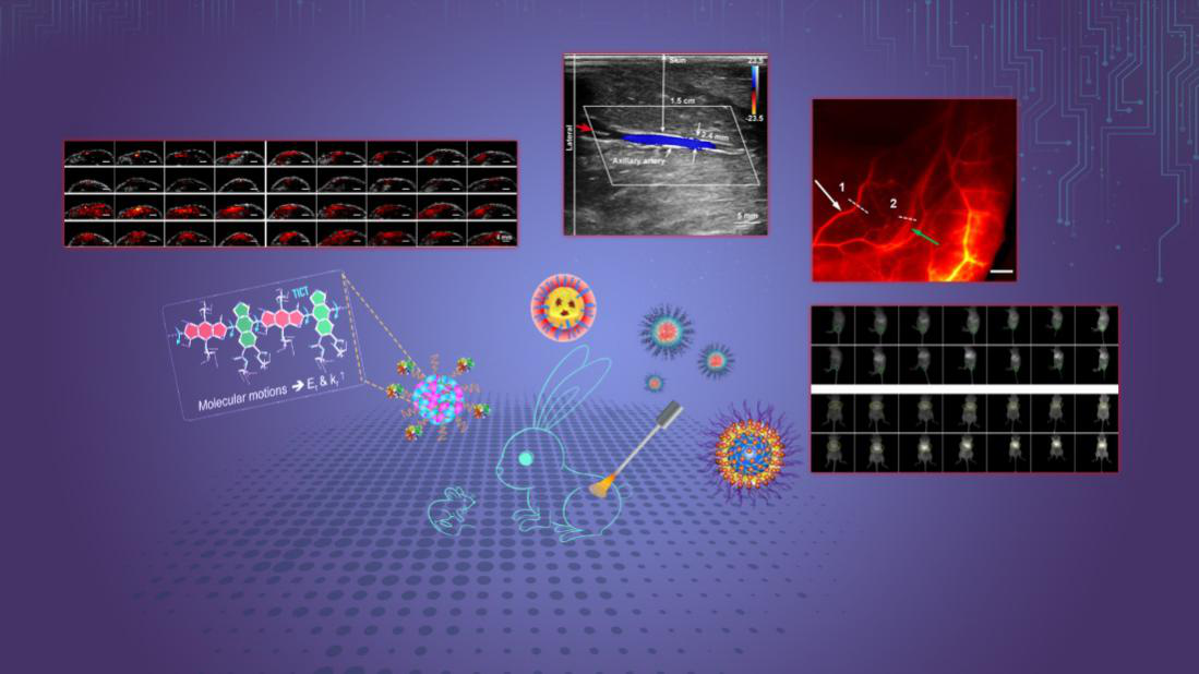 Improving quality of biomedical imaging with new agents