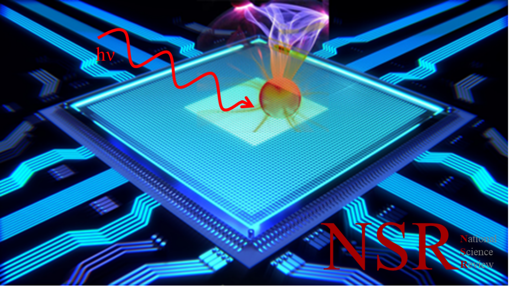 sustech-researchers-develop-new-method-to-measure-quantum-relaxation