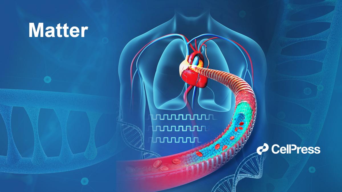 SUSTech professors achieve breakthrough in electronic blood vessels