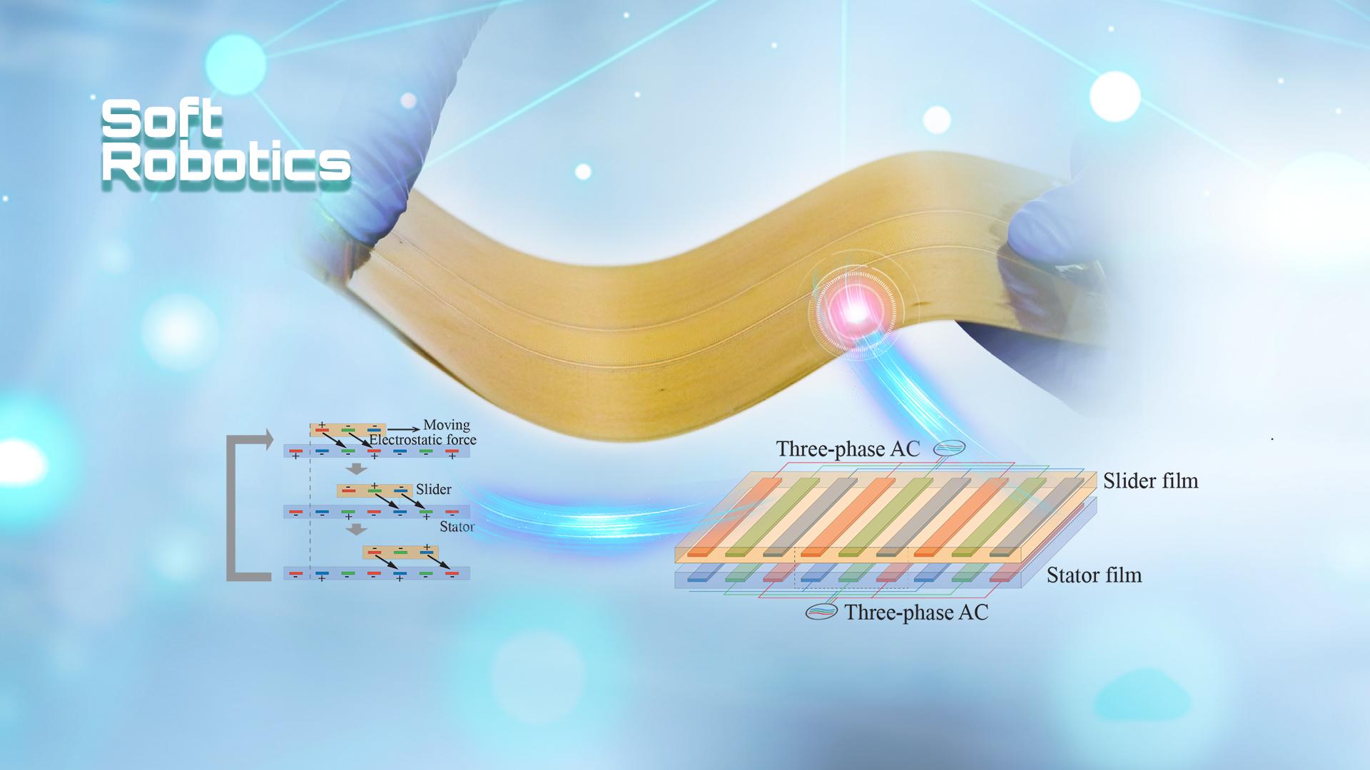 SUSTech researchers made new progress in electrostatic film actuator modeling