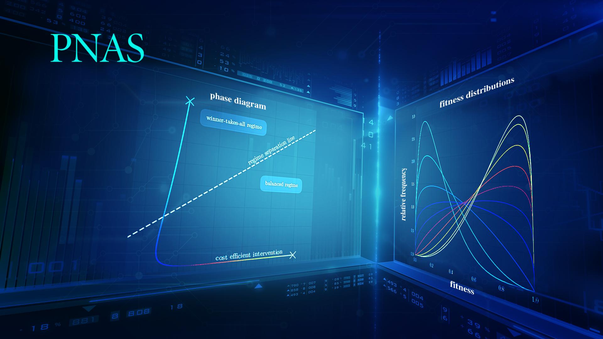 SUSTech scientist develops new method for dynamic monitoring of centralization risk