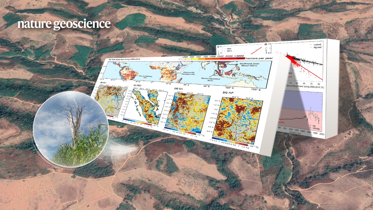 SUSTech research team reveals biophysical feedback mechanism of tropical mountain deforestation