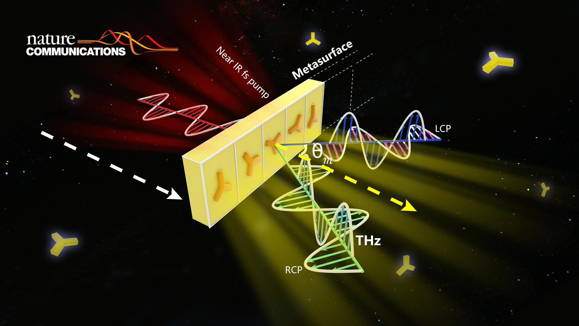 SUSTech researchers make advances in the study of functional THz emitters based on Pancharatnam-Berry phase nonlinear metasurfaces