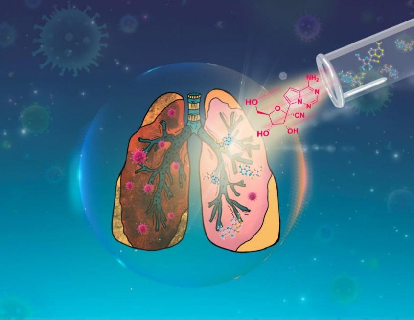 SUSTech Xumu Zhang’s team develops a drug molecule superior to Remdesivir