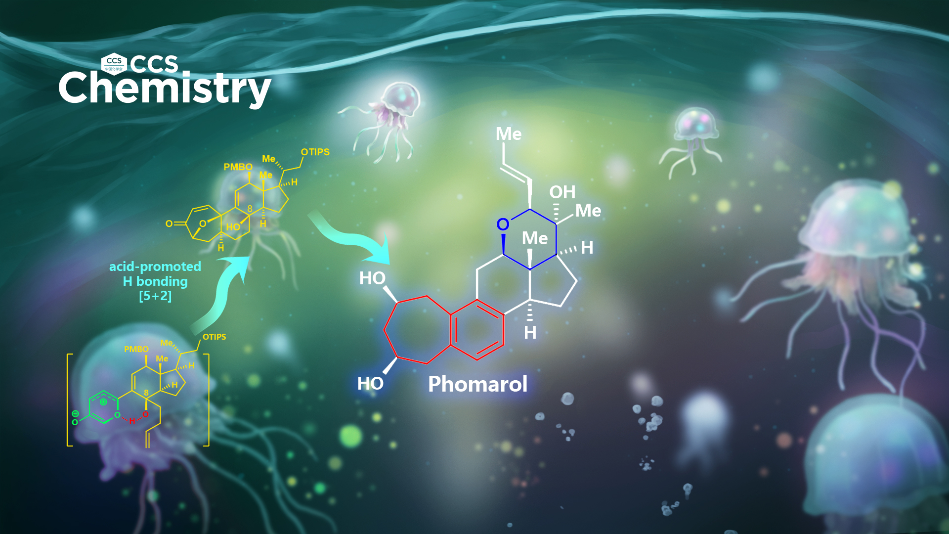 SUSTech Chuang-Chuang Li’s group achieves first and asymmetric total synthesis of phomarol