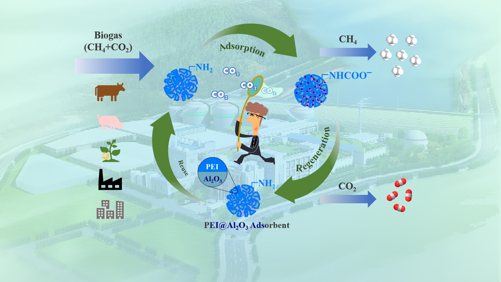 SUSTech Zuotai Zhang’s team makes advanced progress in solid amine CO2 capture materials