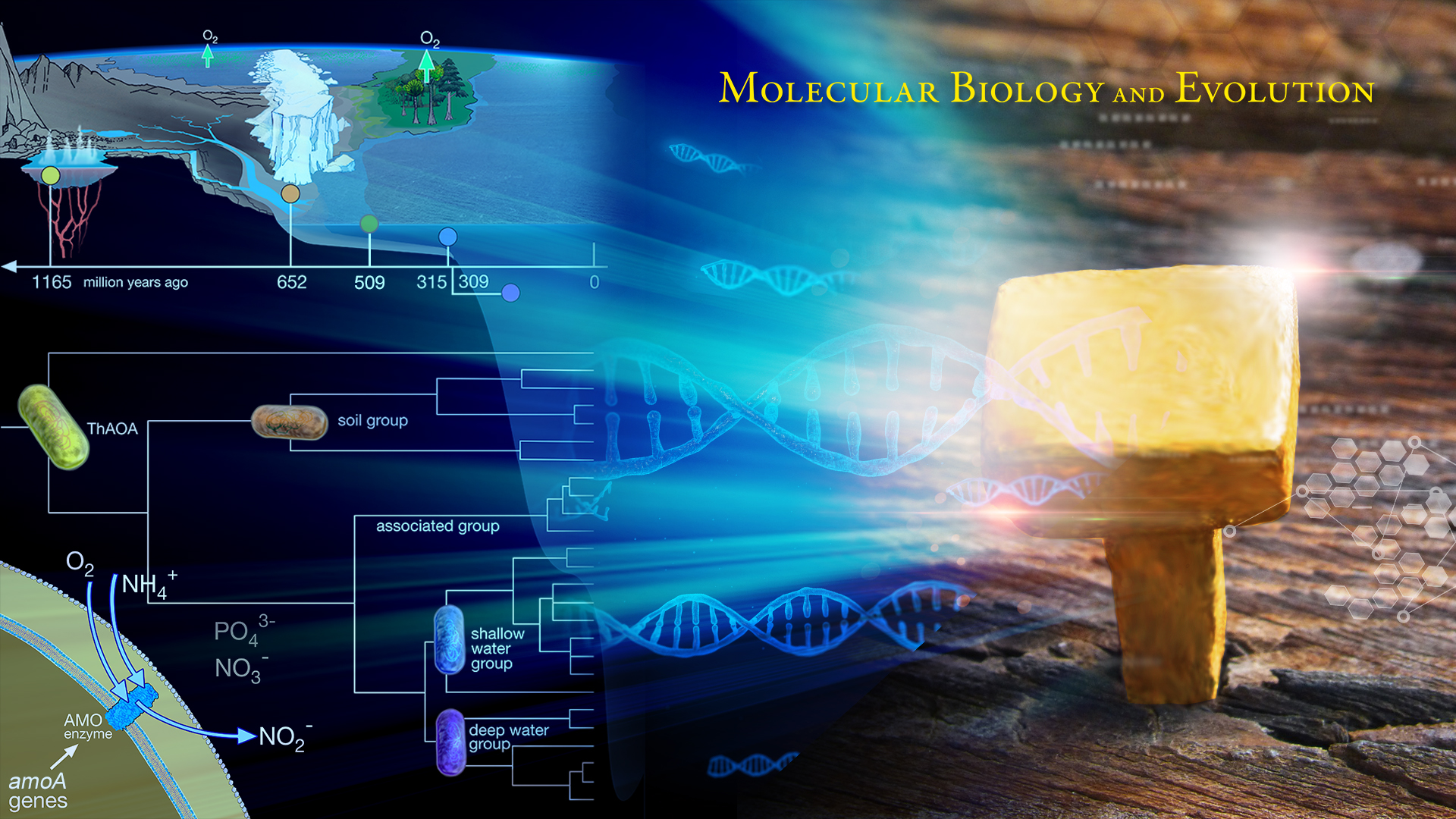 SUSTech collaborative research makes progress in understanding microbial and geological co-evolution