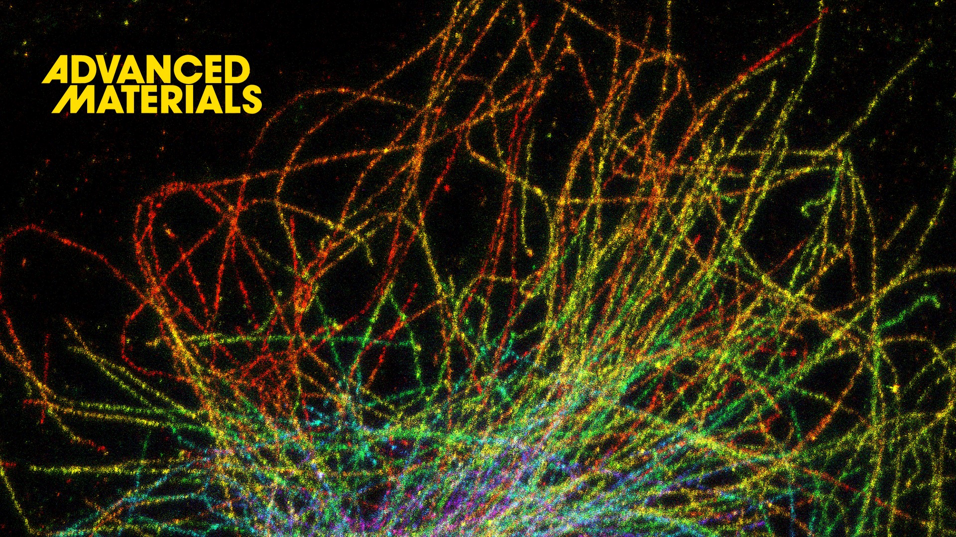 SUSTech Changfeng Wu’s group develops highly bright polymer dots for three-dimensional multicolor super-resolution imaging applications