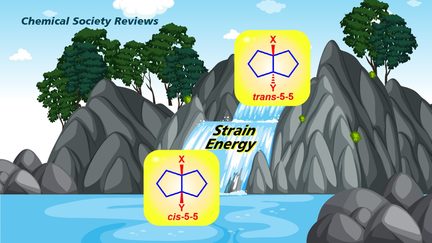 SUSTech Chuang-Chuang Li’s group publishes review on natural products containing highly strained trans-fused bicyclo[3.3.0]octane