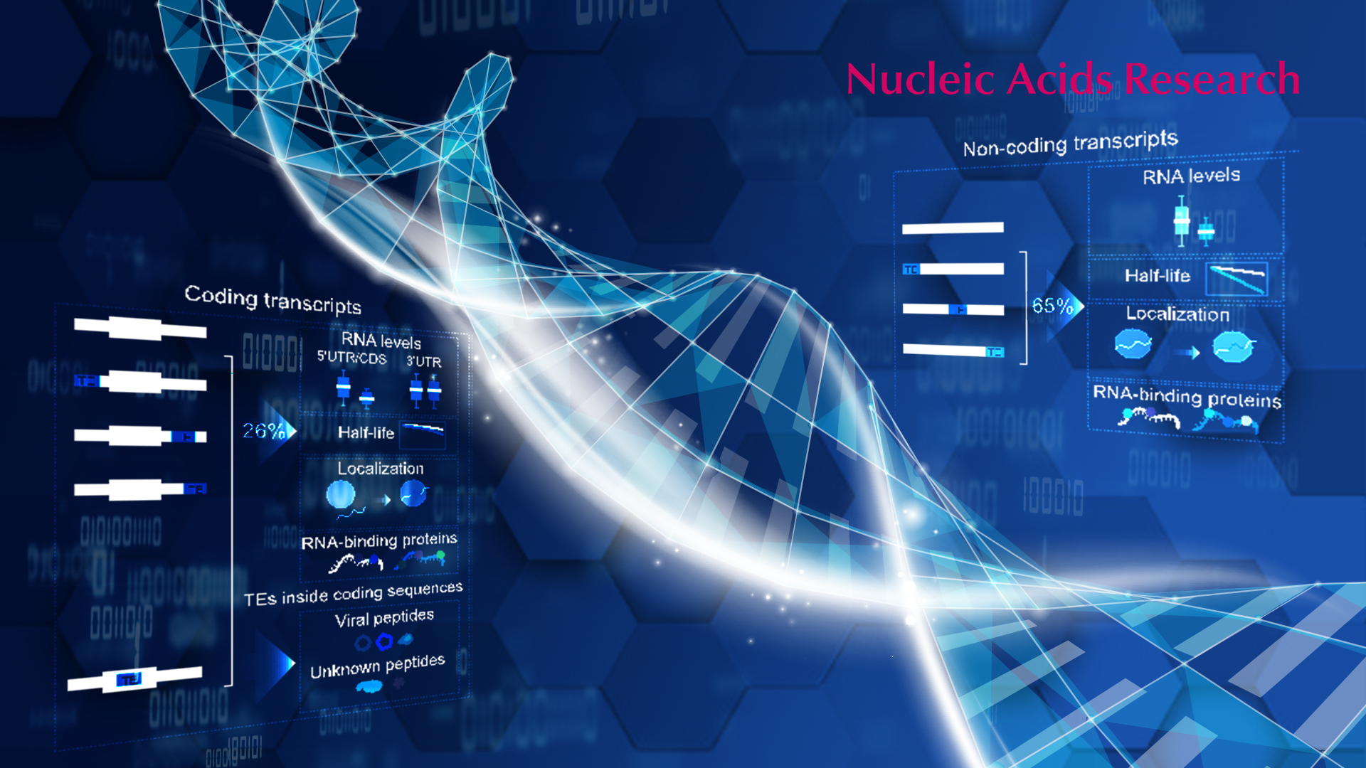 International researchers collaborate to investigate transposable element activities and consequences on human pluripotent stem cell transcriptome