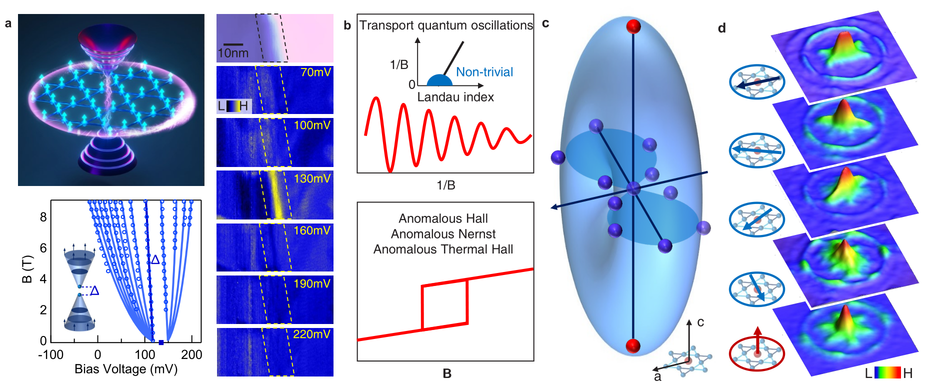 MRS/ASM Joint Chapter Meeting: Linda Ye Presents Topology and Correlation  in Kagome Lattice Metals - Applied Physics