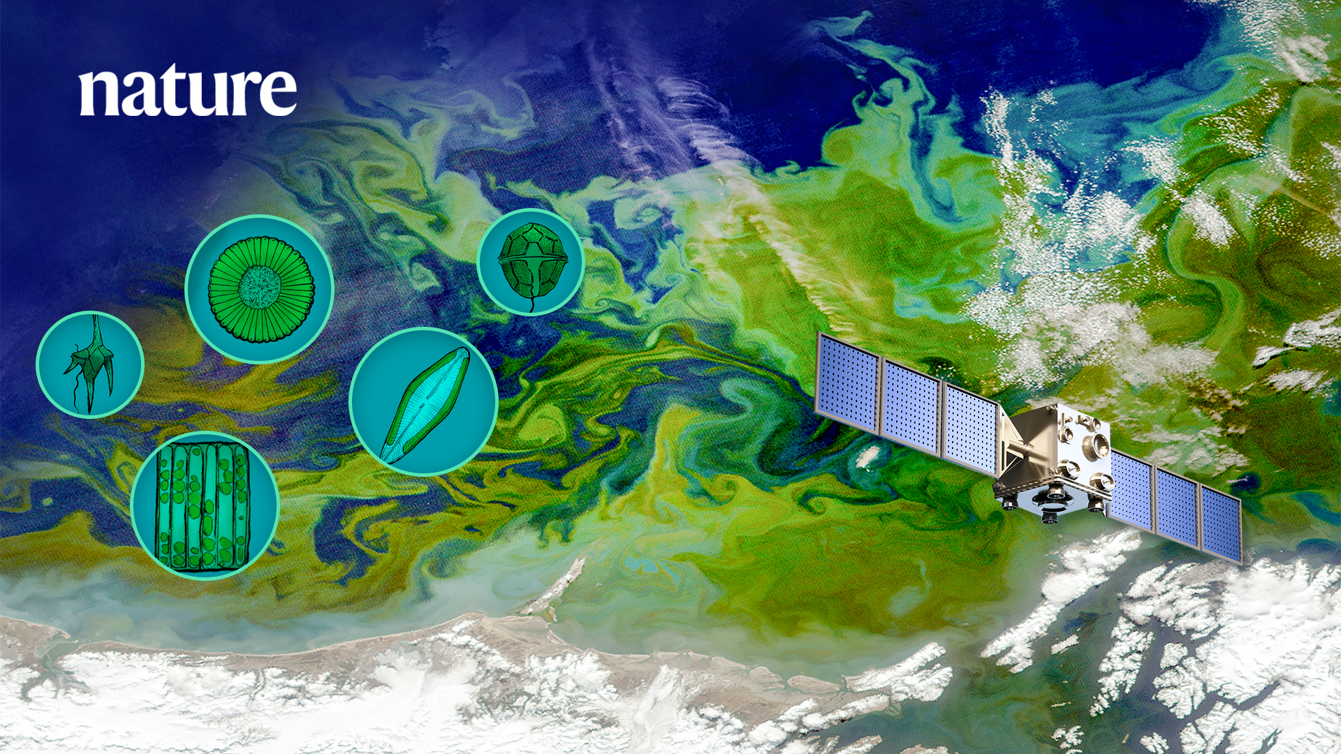 Researchers reveal increasing trend of global coastal phytoplankton blooms