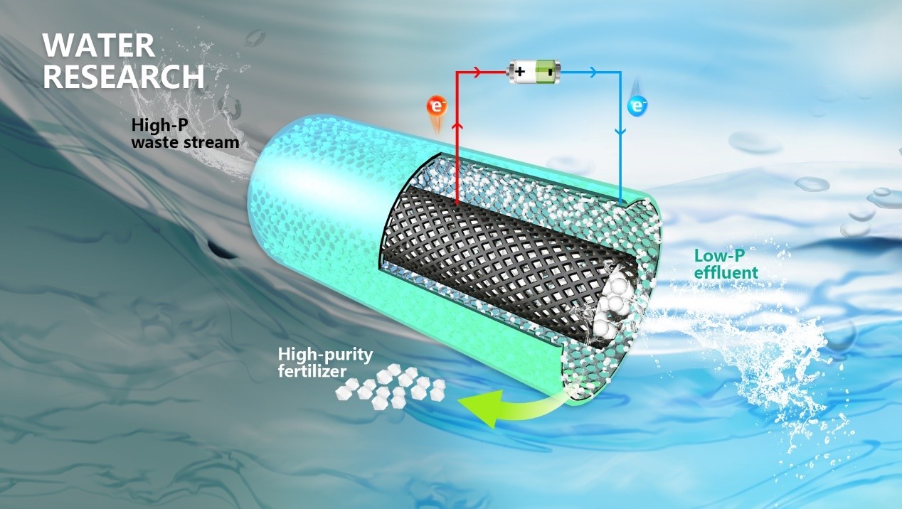 Researchers develop membrane-free electrochemical system for high-efficient and high-purity phosphate recovery