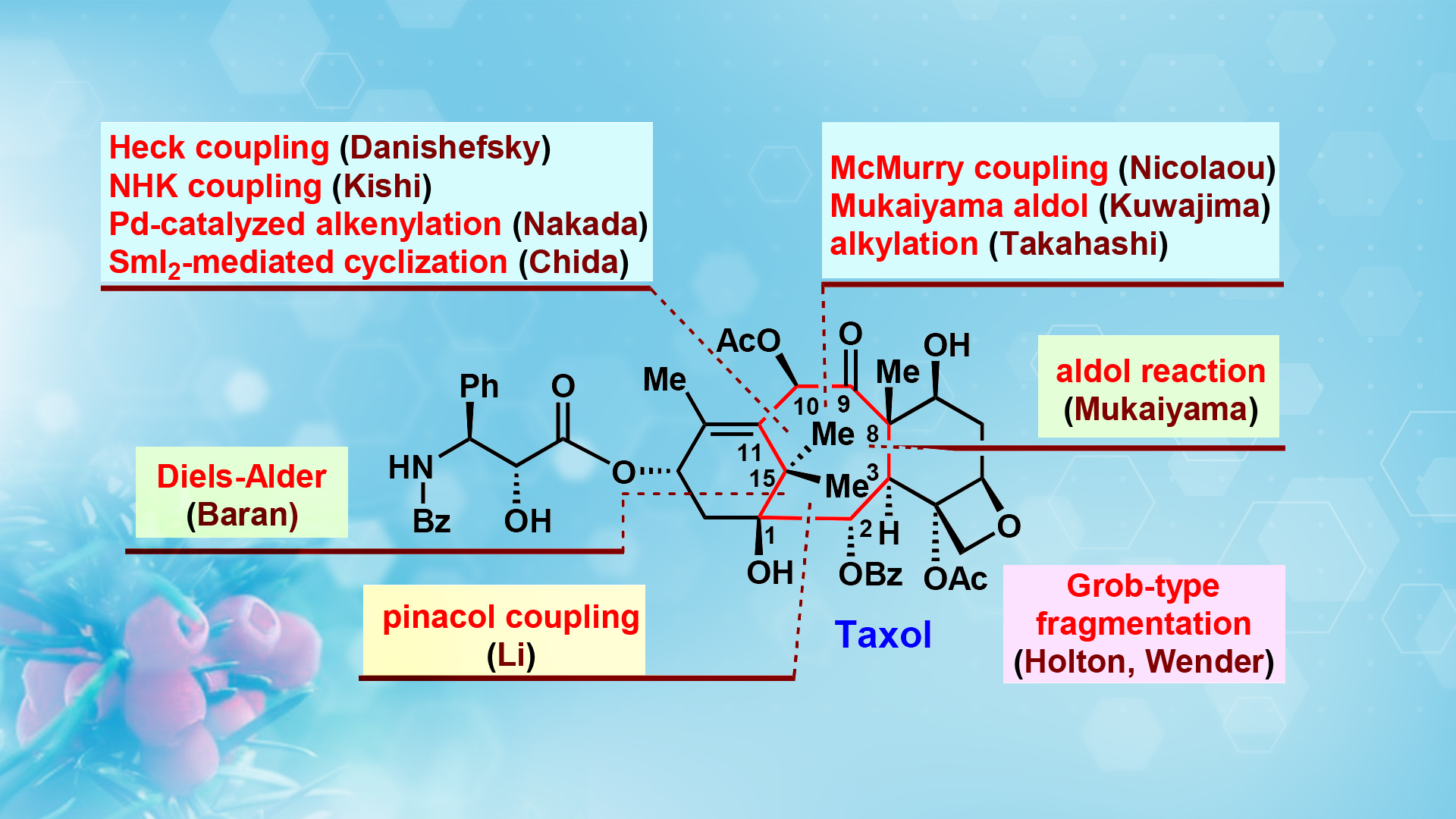 Researchers publish review on strategies and lessons learned from total synthesis of Taxol