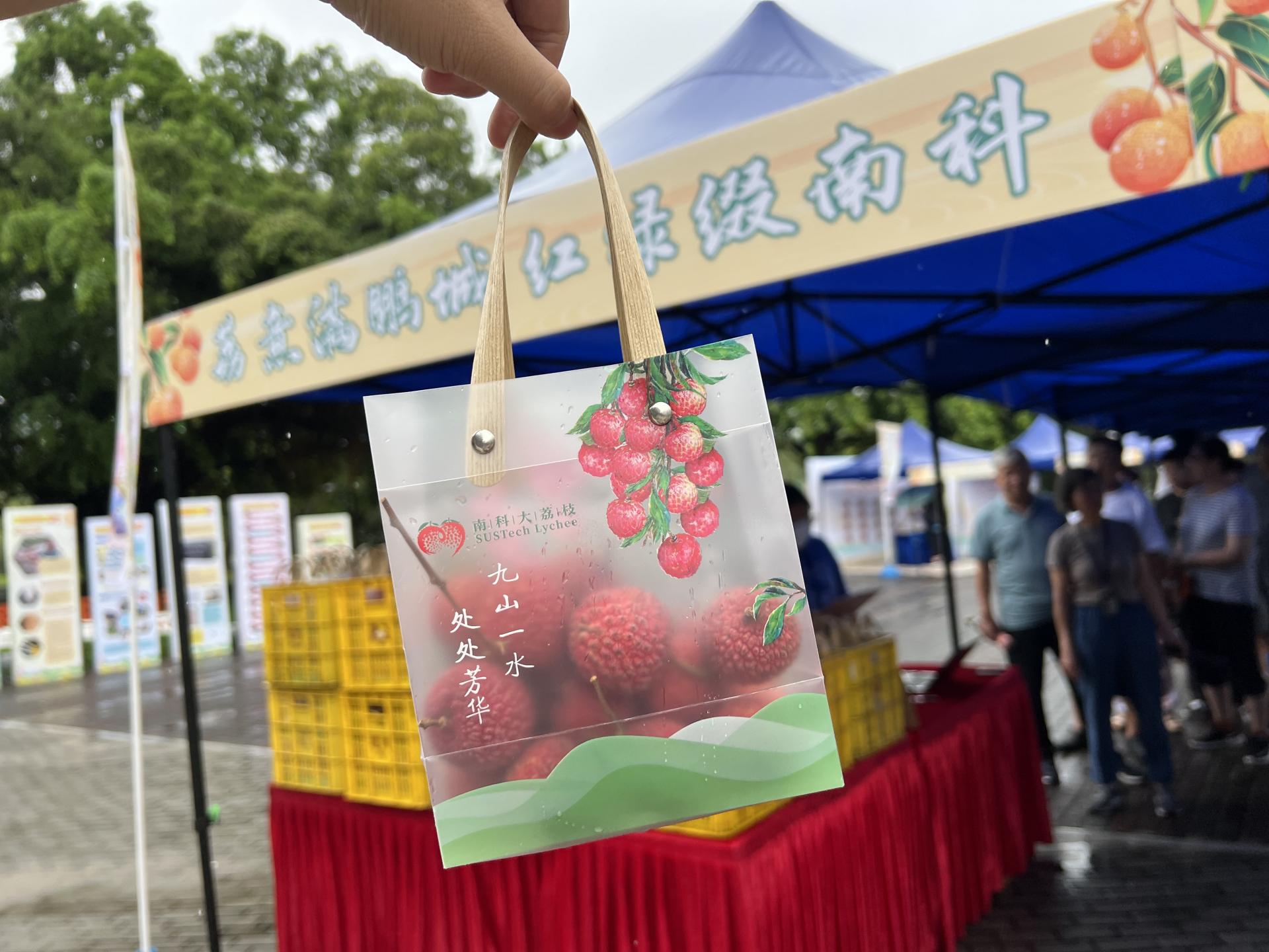 SUSTech holds third Lychee Cultural Festival