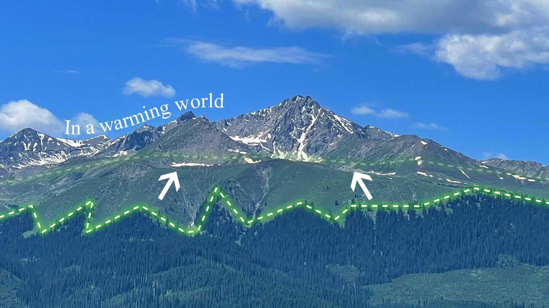 Upward shift of mountain treeline due to climate change from global remote sensing-based analysis