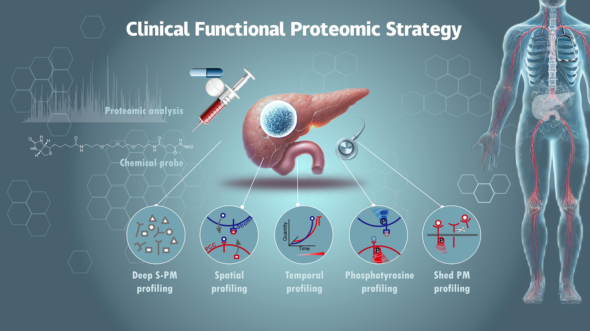 Researchers provide new insights into pancreatic cancer signaling networks through advanced proteomics technology TMEPro