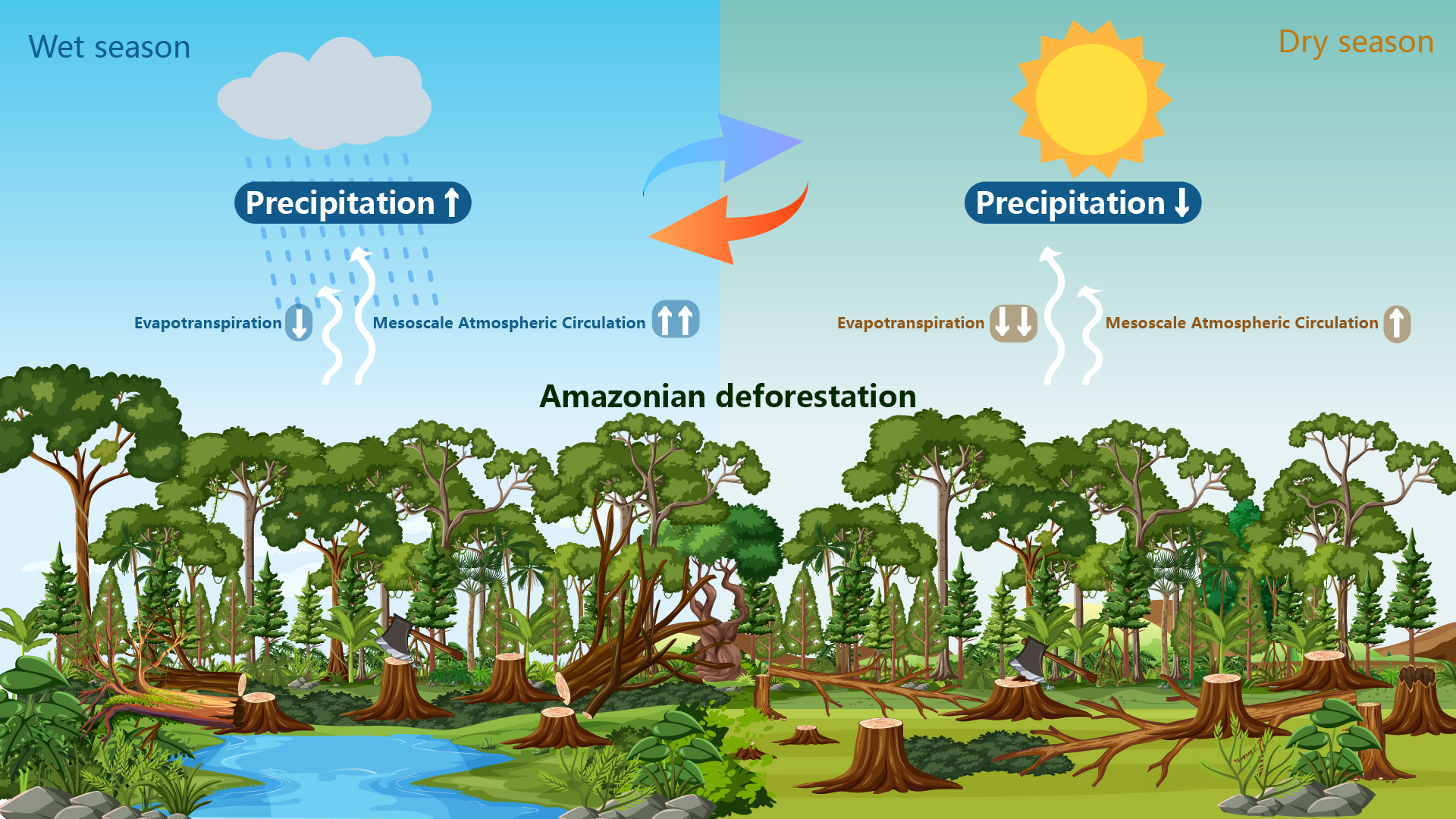 Researchers reveal new mechanism of Amazon deforestation’s impact on precipitation