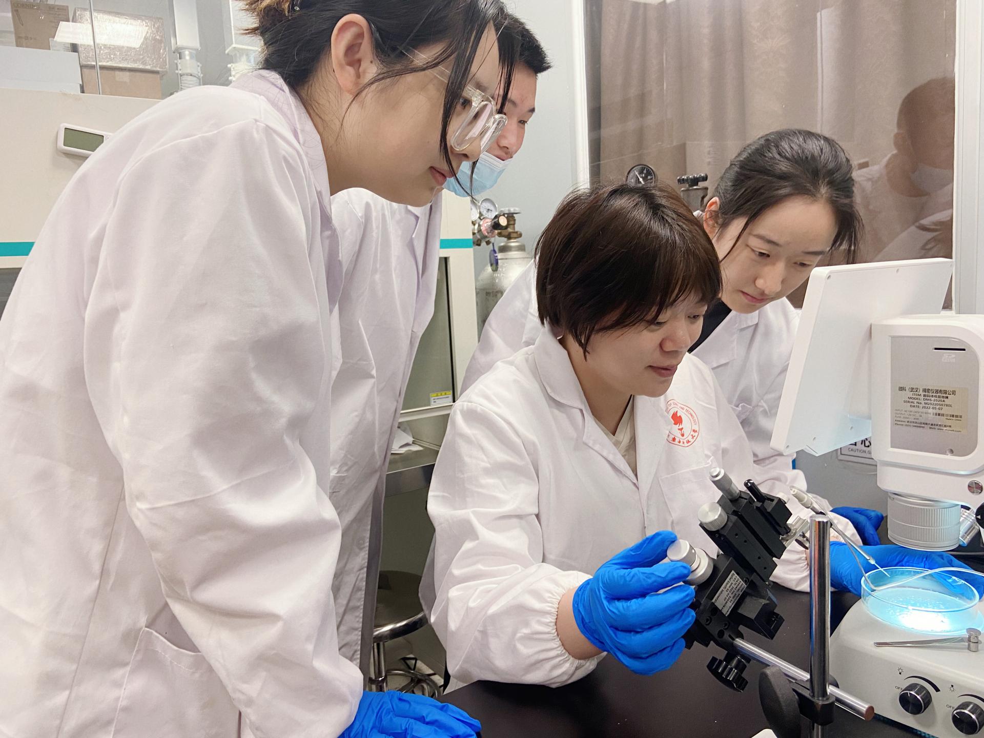 SUSTech’s Wenhui QIU receives 2025 Excellent Young Scientist Award from Chinese Society of Toxicology