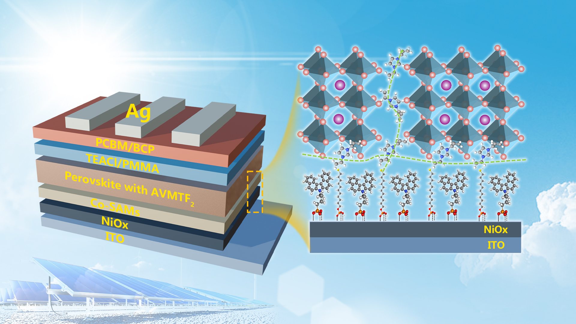 In situ polymerization at interface boosts efficiency and stability of perovskite solar cells
