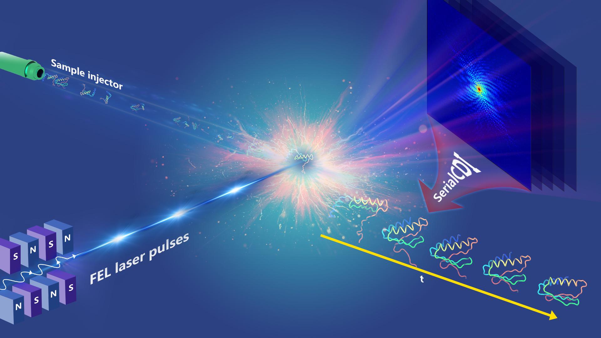 Coherent diffraction imaging captures changes in dynamic samples